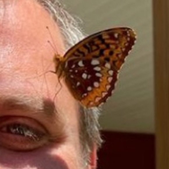 ⭐️WE ARE NOT ALONE💫 - Picture 6 of 10